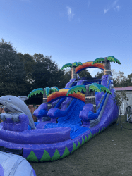 15ft 1741619502 15ft Dolphin Splash Water Slide with Palm Tree
