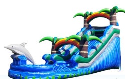 15ft Dolphin Splash Water Slide with Palm Tree